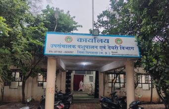रिटायरमेंट के बाद भी ‘बाबूगिरी’!पशु चिकित्सा विभाग में सेवानिवृत्त कर्मचारियों की सक्रियता पर उठे सवाल, दस्तावेज दुरुस्त करने को लेकर चर्चाओं का बाजार गर्म