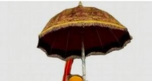 9 साल की उम्र में छोड़ दी सांसारिक दुनिया, आगे चलकर बने शंकराचार्य… जन्मभूमि को दिया एशिया का सबसे बड़ा स्फटिक शिवलिंग..