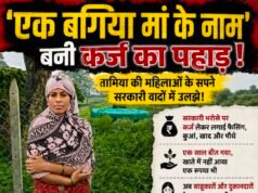 बगिया के नाम पर कर्ज का बोझ!‘एक बगिया मां के नाम’ ने तामिया की महिलाओं को दिखाया आत्मनिर्भरता का सपना, अब उधार चुकाने के लिए दर-दर की ठोकरें..