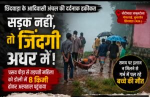 सड़क के अभाव में 8 किमी डोली का सफर, अस्पताल पहुंचने से पहले गर्भस्थ शिशु की मौत
