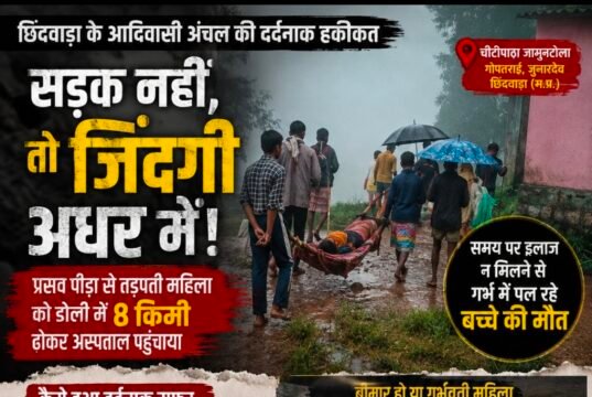 सड़क के अभाव में 8 किमी डोली का सफर, अस्पताल पहुंचने से पहले गर्भस्थ शिशु की मौत