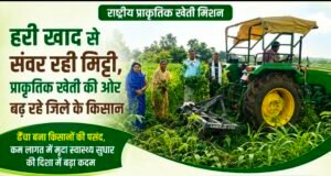 हरी खाद से संवर रही मिट्टी, प्राकृतिक खेती की ओर बढ़ रहे कामठी के किसान..