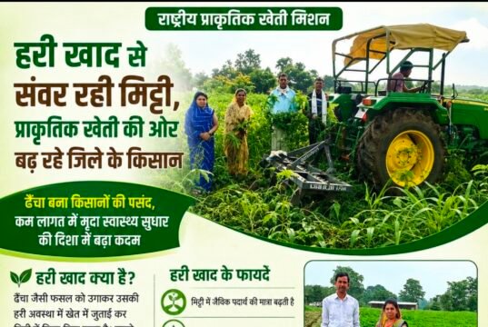 हरी खाद से संवर रही मिट्टी, प्राकृतिक खेती की ओर बढ़ रहे कामठी के किसान..