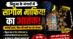 बिछुआ बना सागौन तस्करी का गढ़! जंगलों की कटाई पर वन विभाग बेबस या मिलीभगत?..