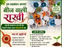 बीज वाली राखी बांधेगी भाई की कलाई, फिर बनेगी पौधा ,रक्षाबंधन पर पर्यावरण संरक्षण संदेश..