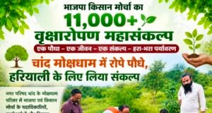 चांद मोक्षधाम में गूंजा हरियाली का संकल्प, 11 हजार से अधिक पौधे रोपकर पर्यावरण बचाने की मुहिम
