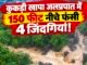 कुकड़ी खापा जलप्रपात में जिंदगी और मौत के बीच फंसे नागपुर के 4 युवक