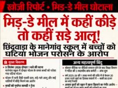 मिड-डे मील में कहीं कीड़े तो कहीं सड़े आलू!