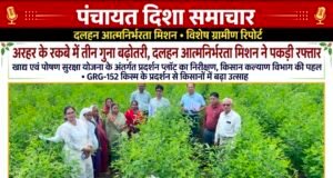 अरहर के रकबे में तीन गुना बढ़ोतरी, दलहन आत्मनिर्भरता मिशन ने पकड़ी रफ्तार