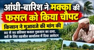 आंधी-बारिश ने मक्का की फसल को किया चौपट, किसान ने मांगा मुआवजा