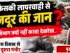 आखिर किसकी लापरवाही से गई मजदूर की जान?