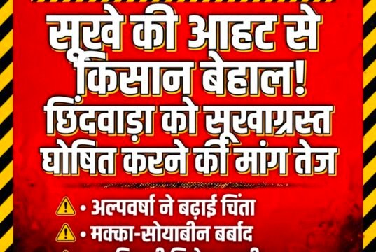 सूखे की आहट से किसान बेहाल, छिंदवाड़ा को तत्काल सूखाग्रस्त घोषित करने की मांग