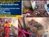 हीराबाड़ी में गैस रेगुलेटर फटने से कच्चे मकान में लगी आग, गृहस्थी का सामान जलकर खाक