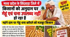सूखाग्रस्त छिंदवाड़ा में किसानों को अनुदान के बीज का इंतजार, महंगे दाम पर गेहूं-चना खरीदने को मजबूर किसान..!